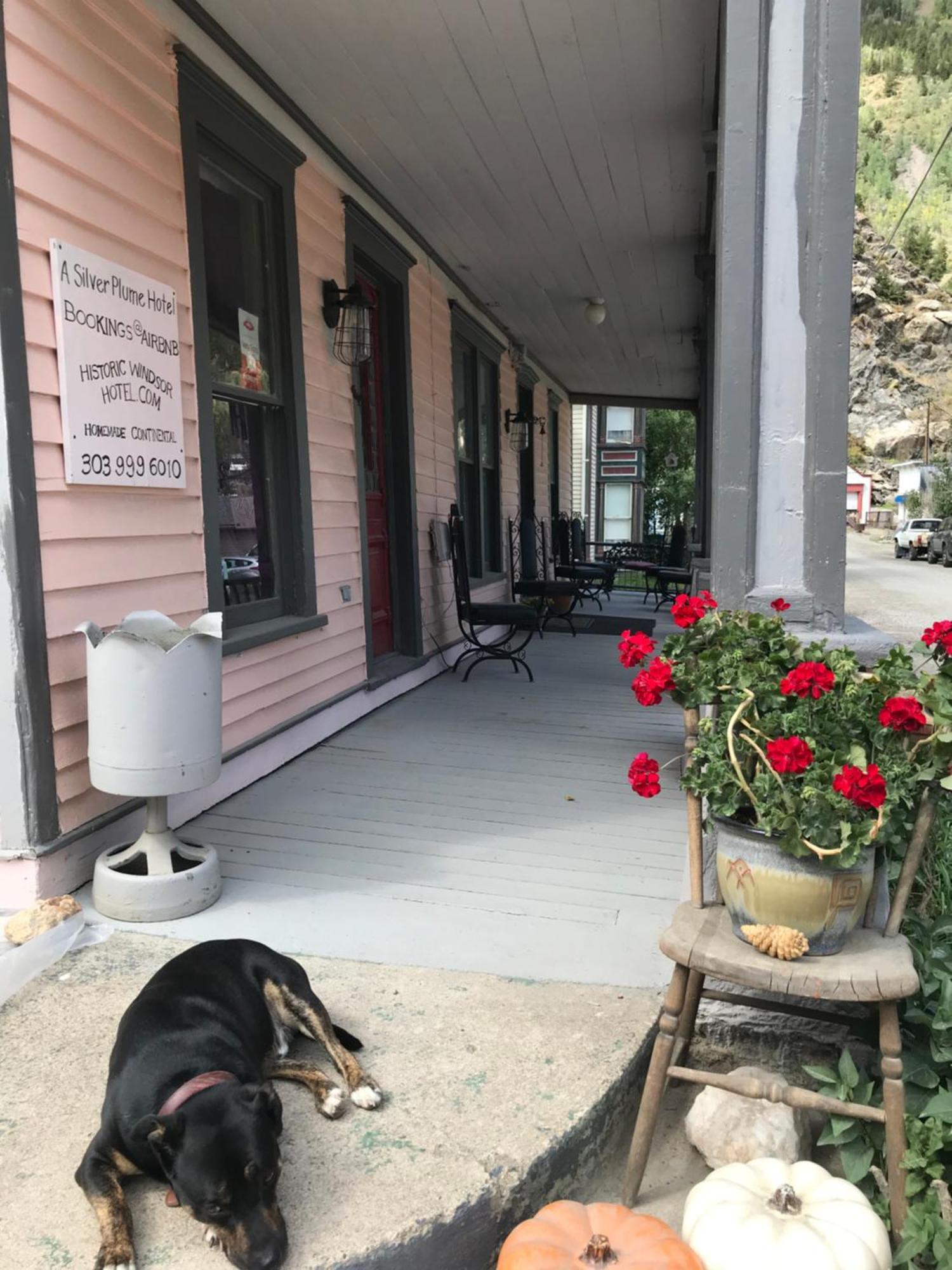 Bed and Breakfast Historic Windsor Silver Plume Exterior foto